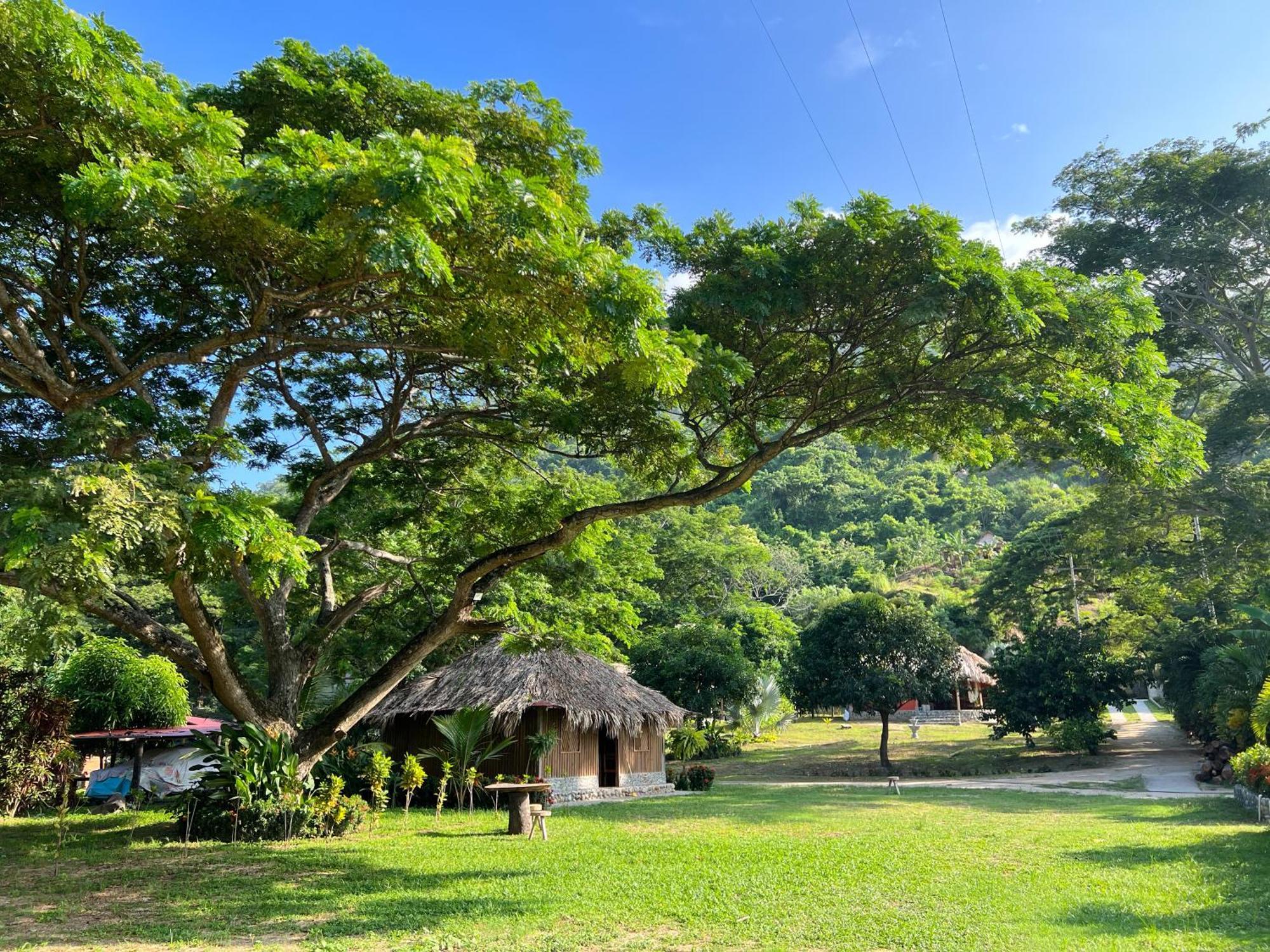 Tayrona Cachaco River Ecohostal El Zaino Bagian luar foto
