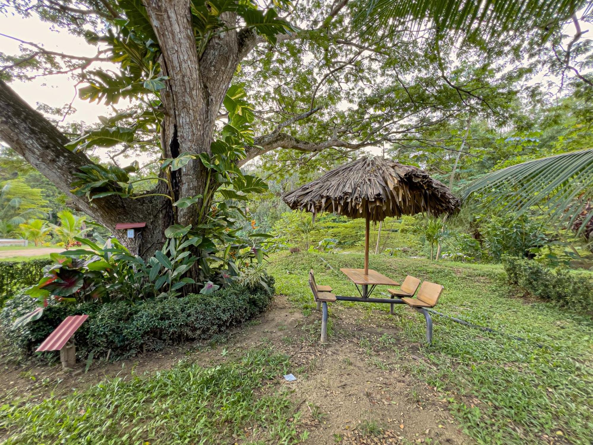 Tayrona Cachaco River Ecohostal El Zaino Bagian luar foto